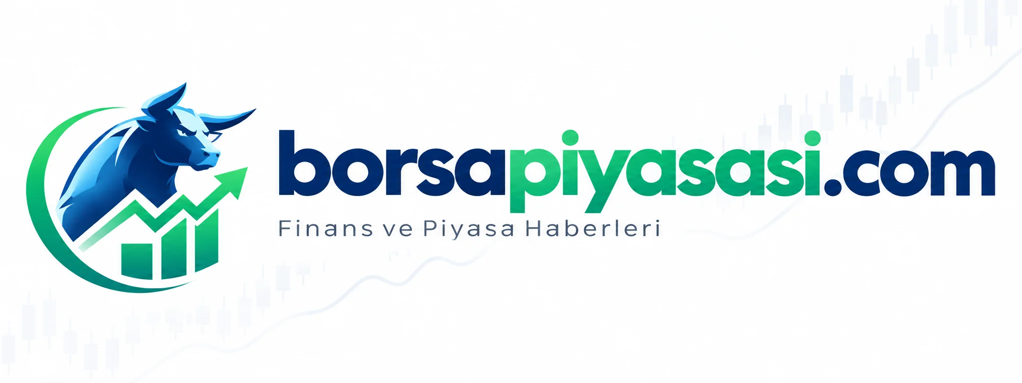 Borsa Piyasası