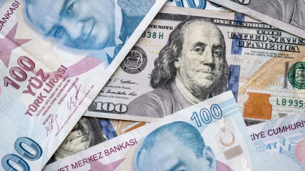Finansal Kurumlar Birliği’nden dolar ve enflasyon tahmini!