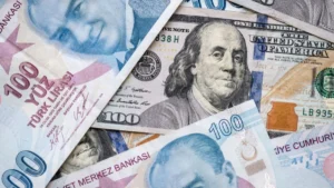 Finansal Kurumlar Birliği’nden dolar ve enflasyon tahmini!